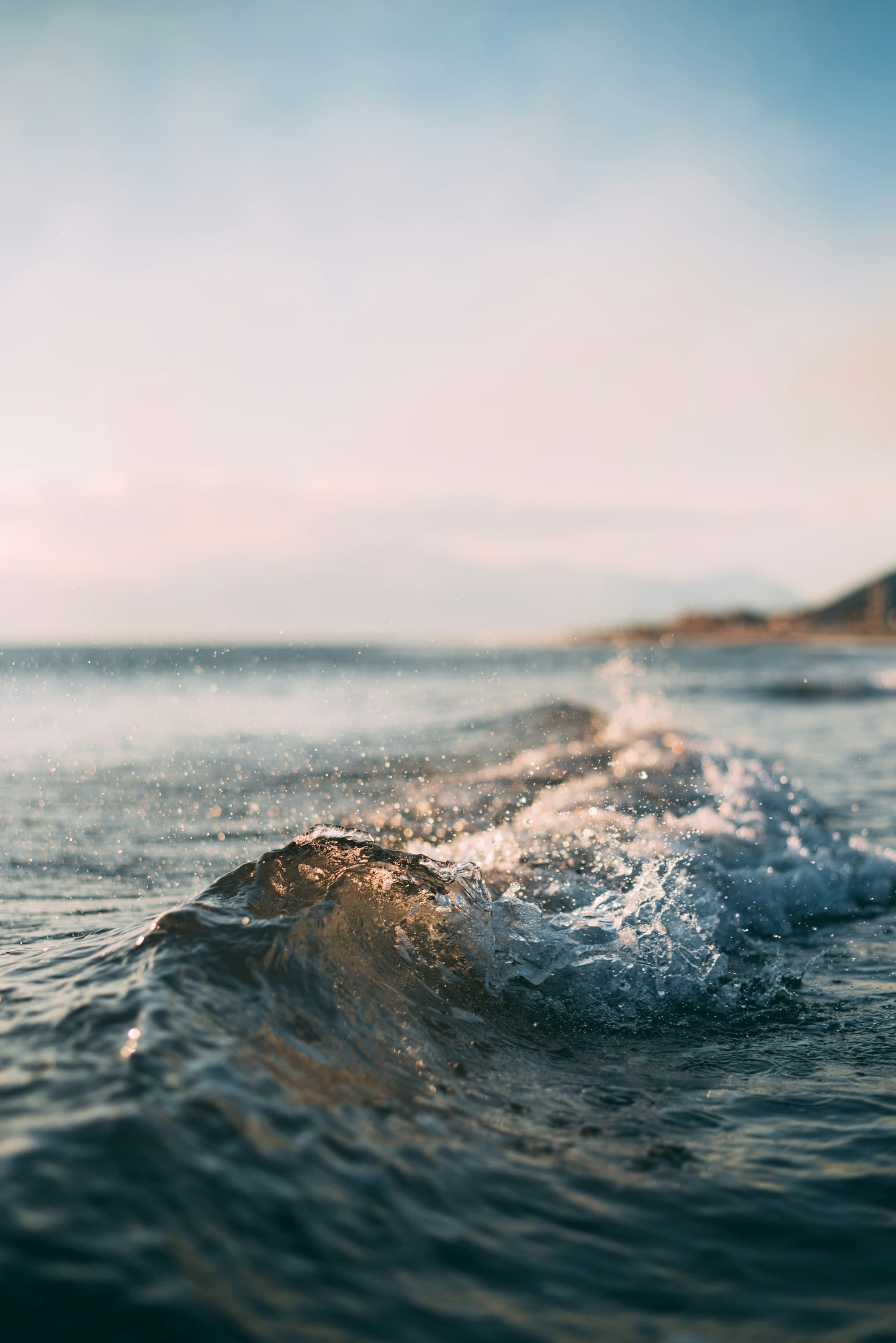 A quiet ocean wave in soft daylight
